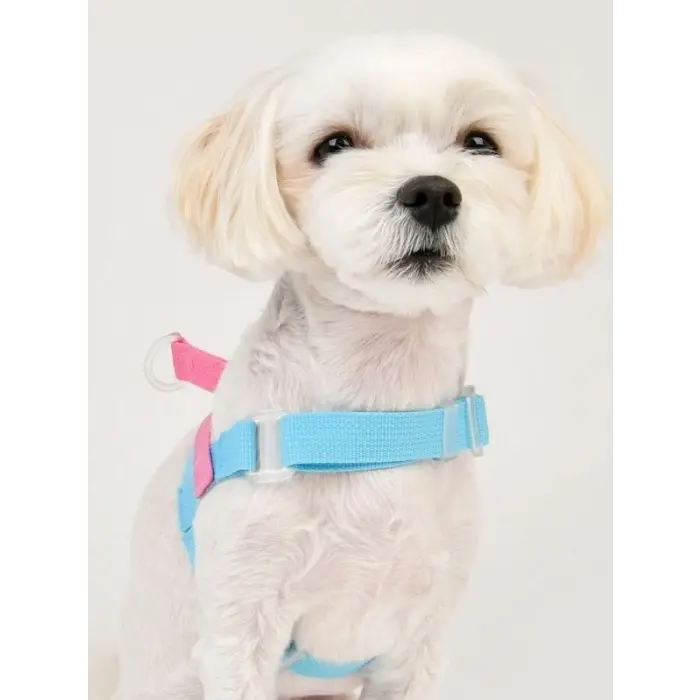 Olchi Bongbong V Harness / Sky Blue