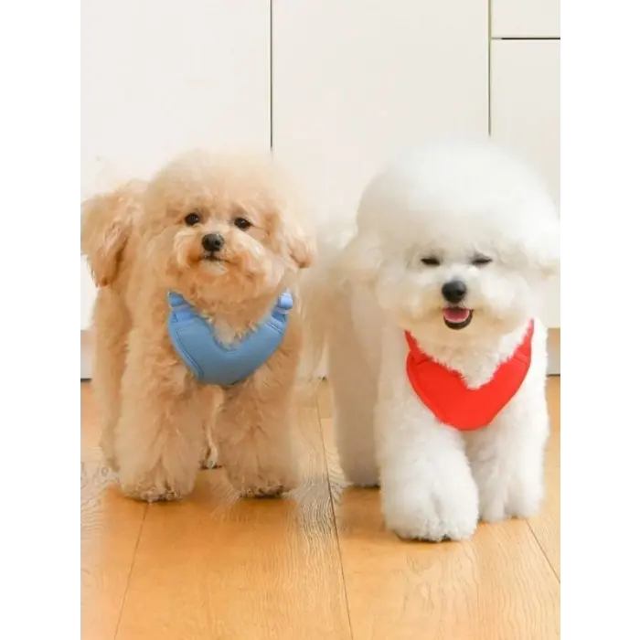 Olchi HEART HARNESS